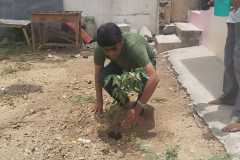 Plant Sapling day 1 by our Donor